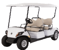 a white golf cart with tan seats and a canopy