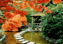 a stone walkway leading to a gazebo in a garden