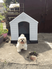 a small white dog sitting in front of a small white dog house