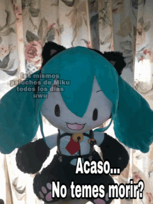 a stuffed animal with a cat ear and the words " acaso no temes morir " on it