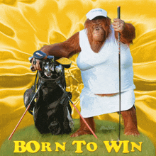 a picture of an orangutan holding a golf club and a golf bag with the words born to win underneath