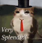 a cat wearing a top hat and tie with the words very splendid