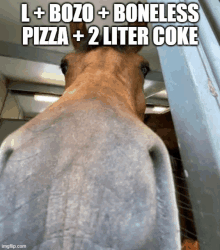 a close up of a horse 's back with a caption that says l + bozo + boneless pizza + 2 liter coke