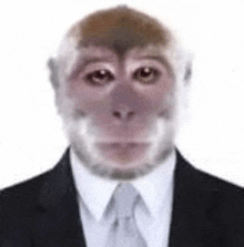 a monkey in a suit and tie is wearing a suit and tie .