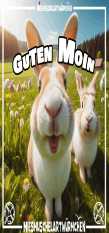 a bunch of rabbits are standing in a field with the words guten moin written above them