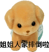 a stuffed animal with chinese writing on it 's face