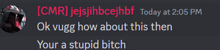 a screenshot of a discord conversation between a man and a woman