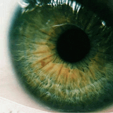 a close up of a green and brown eye