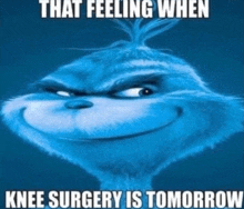 a picture of a grinch that says that feeling when knee surgery is tomorrow .