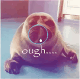 a picture of a seal with the word ough written on it