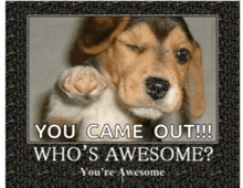 a picture of a dog with the words you came out who 's awesome on it