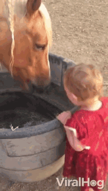 a little girl in a red dress is feeding a horse from a bucket that says viralhog on the bottom