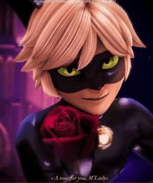 a cat noir from miraculous ladybug is holding a red rose .