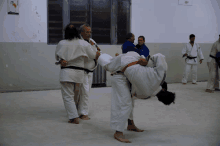 a group of men are practicing martial arts in a room with a picture of a bird on the wall