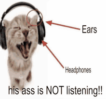 a cat wearing headphones with arrows pointing to the ear and headphones