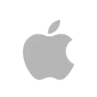 a gray apple with a leaf on it