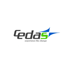 a logo for a company called cedas that says experience the change