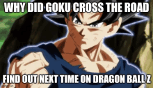 why did goku cross the road find out next time on dragon ball z meme