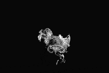 a black and white drawing of a chicken is running on a black background .