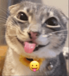 a cat wearing a yellow collar with a yellow smiley face on it is sticking its tongue out .