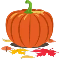 an orange pumpkin with a green stem is surrounded by leaves on a white background