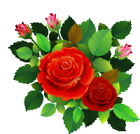 two red roses with green leaves on a white background