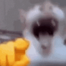 a close up of a cat with its mouth open and a yellow fist in the background