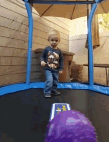 a young boy is jumping on a trampoline with a purple ball and a card that says ' spin '