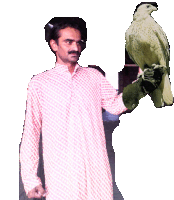 a man is holding a bird on his arm