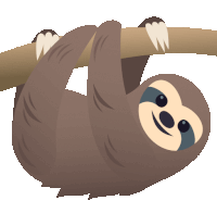 a sloth hanging upside down from a tree branch