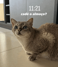 a cat sitting on a tiled floor with the time of 11:21