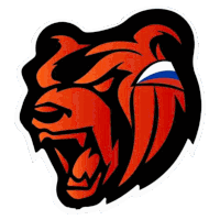 a sticker of a bear with the russian flag on its face