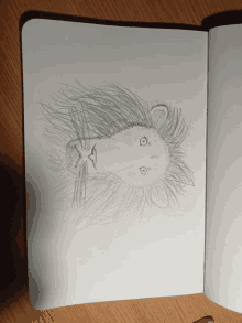 a pencil drawing of a lion 's head is open to a page that says ' a ' on it