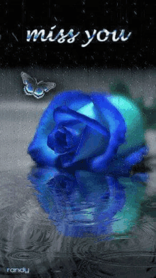 a blue rose is sitting in the water with a butterfly flying around it .