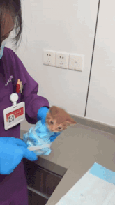 a woman in a purple scrub has a name tag that says ' a ' on it