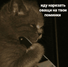 a cat is holding a knife in its paws with the words " иду нарезать " in the background