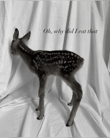 a black and white photo of a deer with the words oh why did i eat that