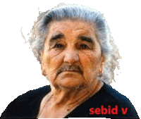 an elderly woman with gray hair and a mustache is wearing a black shirt and earrings