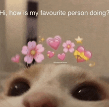 a close up of a cat 's face with pink hearts and flowers .