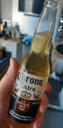 a close up of a person holding a bottle of corona extra beer .