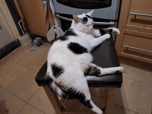 a black and white cat laying on a black stool