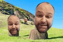 a man with a beard is standing in a grassy field next to a statue