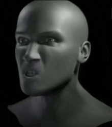 a black and white photo of a bald head