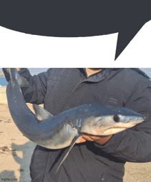 a man in a black jacket holds a small shark