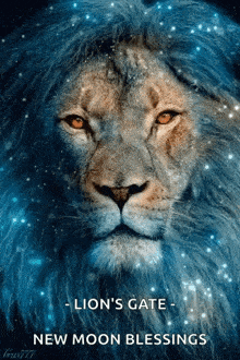 a picture of a lion with the words lion 's gate new moon blessings on the bottom