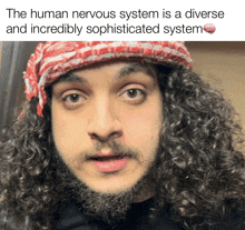 the human nervous system is a diverse and incredibly sophisticated system with a picture of a man with curly hair