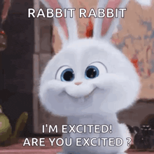a rabbit from the secret life of pets is smiling and says i 'm excited ! are you excited ?