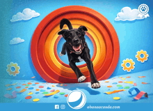 a black dog is jumping through a rainbow colored tunnel with a blue background