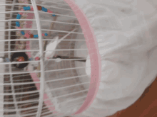 a white cage with a pink trim has a bird inside