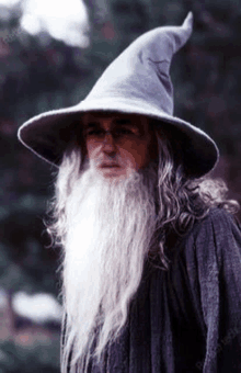 a man with a long beard and a wizard hat